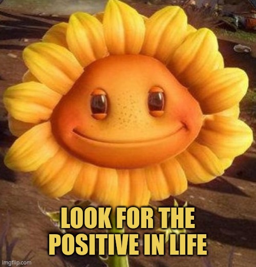 Look for the positive in life | LOOK FOR THE POSITIVE IN LIFE | image tagged in happy sunflower,positivity,autism | made w/ Imgflip meme maker