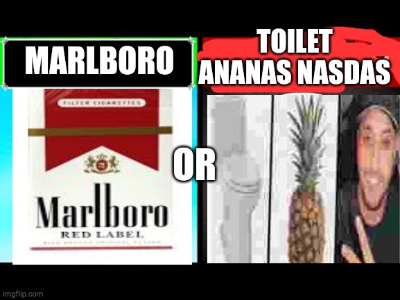 toilet ananas nasdas | TOILET ANANAS NASDAS; MARLBORO; OR | image tagged in toilet ananas nasdas | made w/ Imgflip meme maker