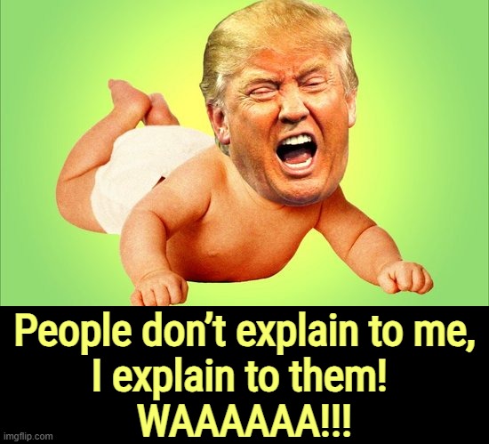 Idiot | People don’t explain to me, 
I explain to them! 
WAAAAAA!!! | image tagged in trump,tantrum,infant,baby,child,idiot | made w/ Imgflip meme maker