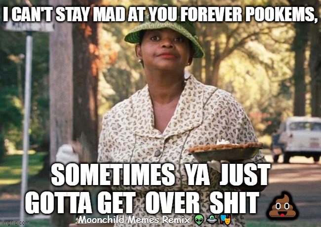 The Help pie | I CAN'T STAY MAD AT YOU FOREVER POOKEMS, SOMETIMES  YA  JUST  GOTTA GET  OVER  SHIT 💩; Moonchild Memes Remix 👽🛸🎭 | image tagged in the help pie | made w/ Imgflip meme maker