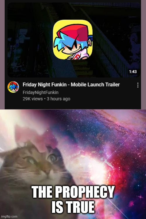 Get ready to Beep Bop to the rhythm....on the go! | THE PROPHECY IS TRUE | image tagged in the prophecy is true cat,friday night funkin | made w/ Imgflip meme maker