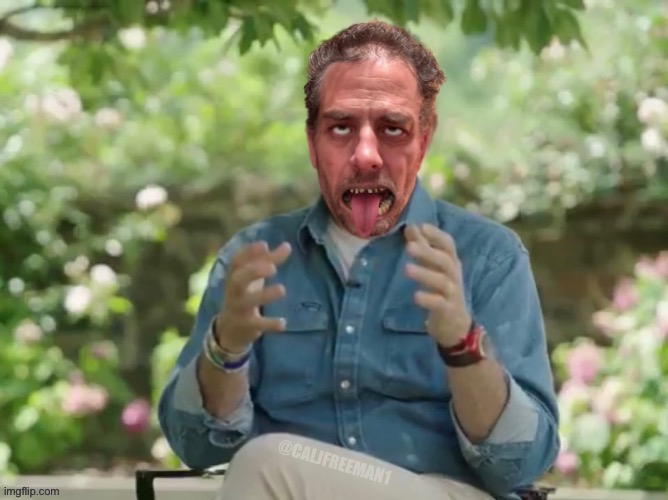 Hunter Biden Interview | image tagged in hunter biden,joe biden,maga,stupid liberals,democrats,crack head | made w/ Imgflip meme maker