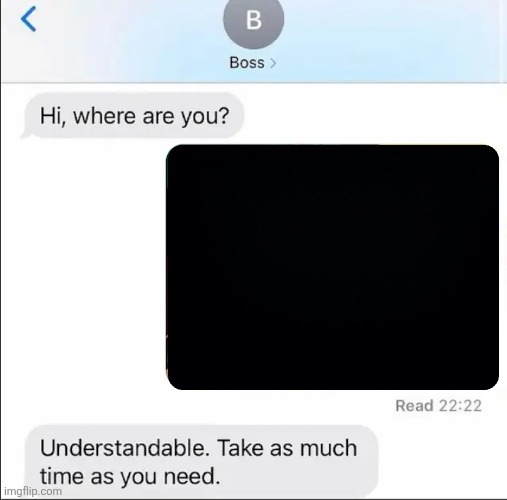 Understandable take as much time as you need Blank Meme Template
