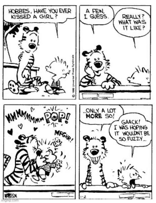 Fuzzy tiger kisses! | image tagged in calvin and hobbes,comics,fuzzy kisses | made w/ Imgflip meme maker