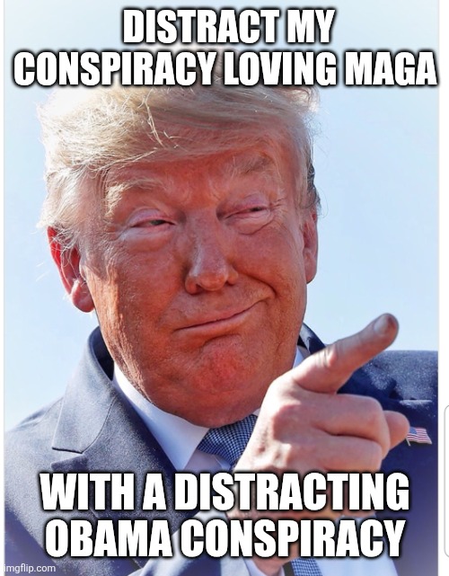 Trump pointing | DISTRACT MY CONSPIRACY LOVING MAGA WITH A DISTRACTING OBAMA CONSPIRACY | image tagged in trump pointing | made w/ Imgflip meme maker