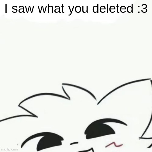 @moons_core | I saw what you deleted :3 | image tagged in boykisser 3 | made w/ Imgflip meme maker