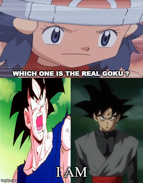 dawn asks who's the real goku ? | WHICH ONE IS THE REAL GOKU ? | image tagged in who asks who's the real goku,crossover,pokemon,pokemon memes,dragon ball z,animeme | made w/ Imgflip meme maker
