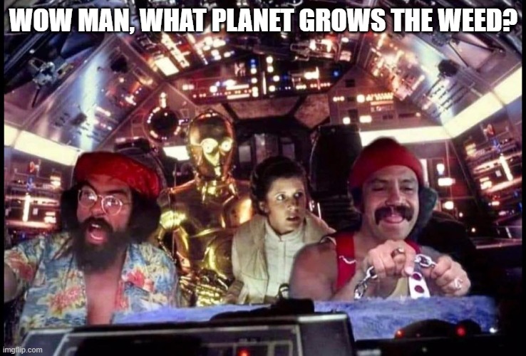 Cheech n Chong Wars | WOW MAN, WHAT PLANET GROWS THE WEED? | image tagged in star wars | made w/ Imgflip meme maker