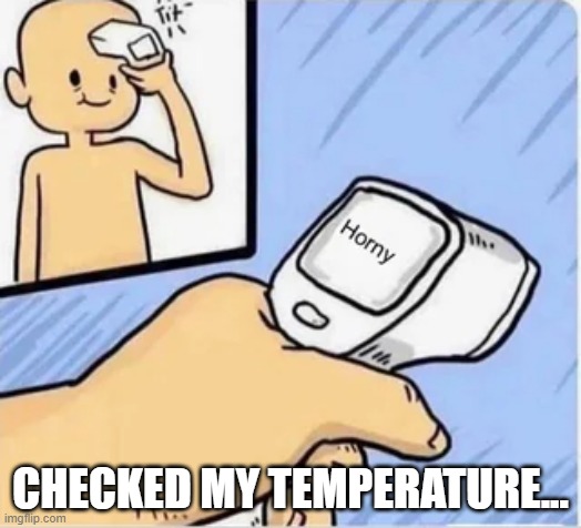 Horny | CHECKED MY TEMPERATURE... | image tagged in sex jokes | made w/ Imgflip meme maker
