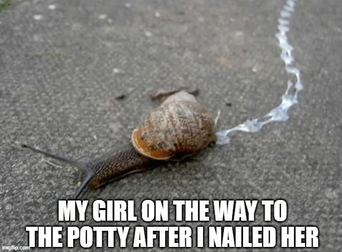 Oozing | MY GIRL ON THE WAY TO THE POTTY AFTER I NAILED HER | image tagged in sex jokes | made w/ Imgflip meme maker