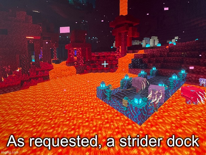 As requested, a strider dock | made w/ Imgflip meme maker