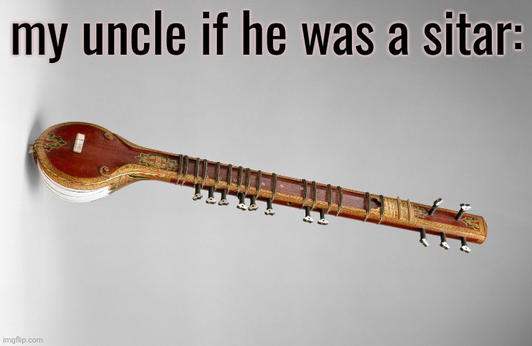 w instrument ngl | my uncle if he was a sitar: | made w/ Imgflip meme maker