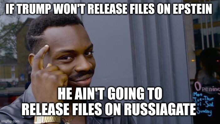 Looking more like a bitch everyday | IF TRUMP WON'T RELEASE FILES ON EPSTEIN; HE AIN'T GOING TO RELEASE FILES ON RUSSIAGATE | image tagged in memes,roll safe think about it | made w/ Imgflip meme maker