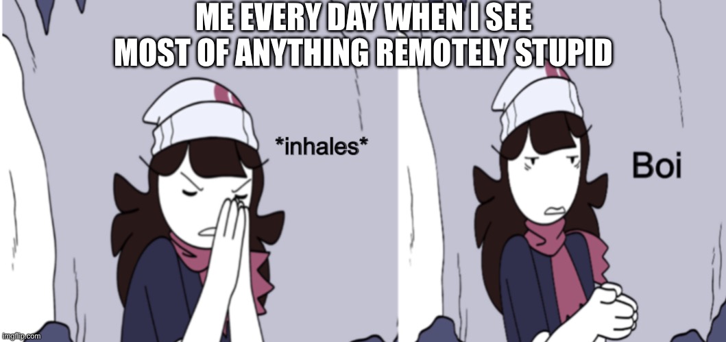 Jaiden Animations boi | ME EVERY DAY WHEN I SEE MOST OF ANYTHING REMOTELY STUPID | image tagged in jaiden animations boi | made w/ Imgflip meme maker