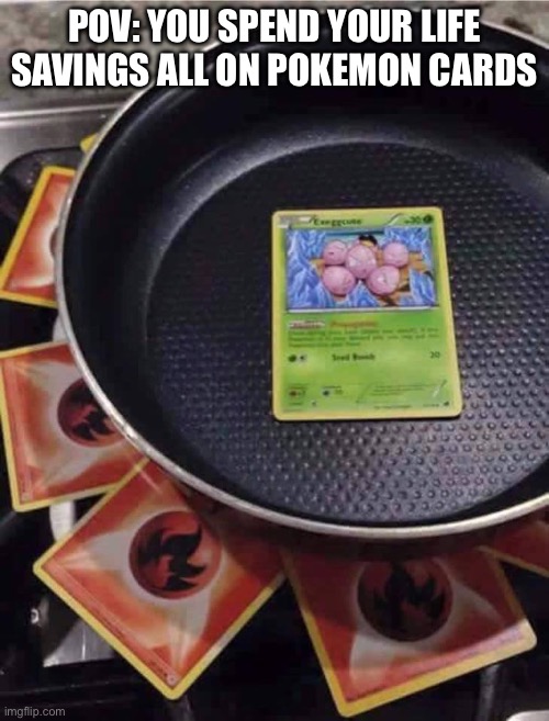 pokémon cooking | POV: YOU SPEND YOUR LIFE SAVINGS ALL ON POKEMON CARDS | image tagged in pok mon cooking | made w/ Imgflip meme maker