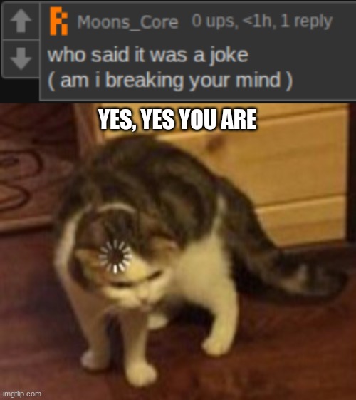 I lwk thought you were gonna be mad | YES, YES YOU ARE | image tagged in loading cat | made w/ Imgflip meme maker