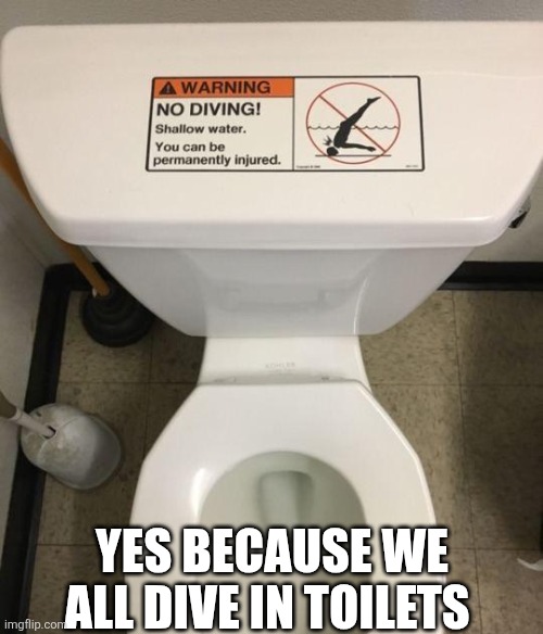 Yes Because We All Dive In Toilets | YES BECAUSE WE ALL DIVE IN TOILETS | image tagged in chrisjoines1 | made w/ Imgflip meme maker