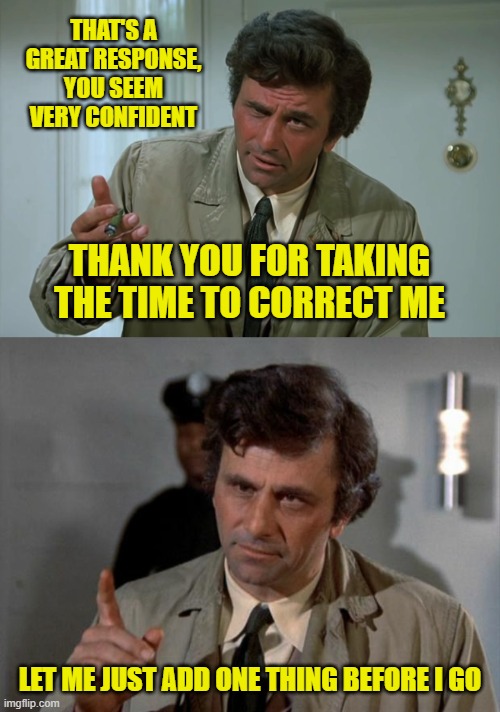 THAT'S A GREAT RESPONSE, YOU SEEM VERY CONFIDENT THANK YOU FOR TAKING THE TIME TO CORRECT ME LET ME JUST ADD ONE THING BEFORE I GO | image tagged in columbo | made w/ Imgflip meme maker