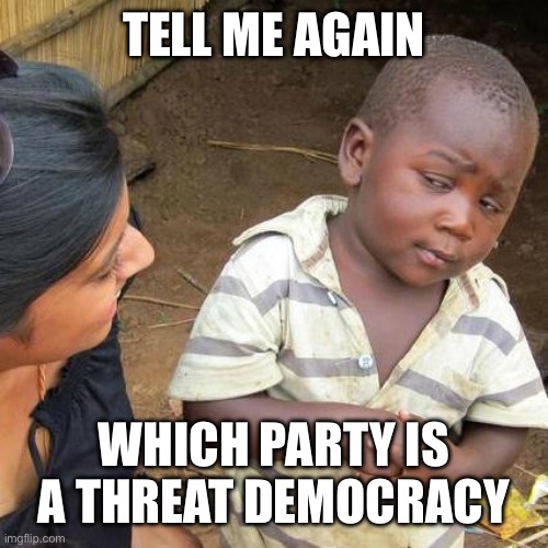Third World Skeptical Kid Meme | TELL ME AGAIN WHICH PARTY IS A THREAT TO DEMOCRACY | image tagged in memes,third world skeptical kid | made w/ Imgflip meme maker