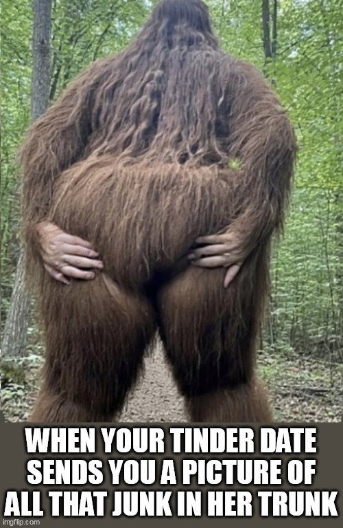 when your tinder date sends you a picture of all that junk in her trunk | WHEN YOUR TINDER DATE SENDS YOU A PICTURE OF ALL THAT JUNK IN HER TRUNK | image tagged in bigfoot,funny,tinder,date,yo momma,booty | made w/ Imgflip meme maker