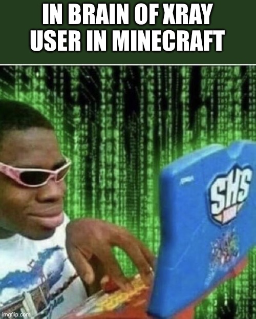 Ryan Beckford | IN BRAIN OF XRAY USER IN MINECRAFT | image tagged in ryan beckford | made w/ Imgflip meme maker