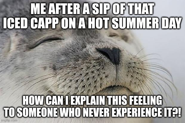 Like Istg | ME AFTER A SIP OF THAT ICED CAPP ON A HOT SUMMER DAY; HOW CAN I EXPLAIN THIS FEELING TO SOMEONE WHO NEVER EXPERIENCE IT?! | image tagged in memes,satisfied seal,relatable,canadian,tim hortons,summer | made w/ Imgflip meme maker