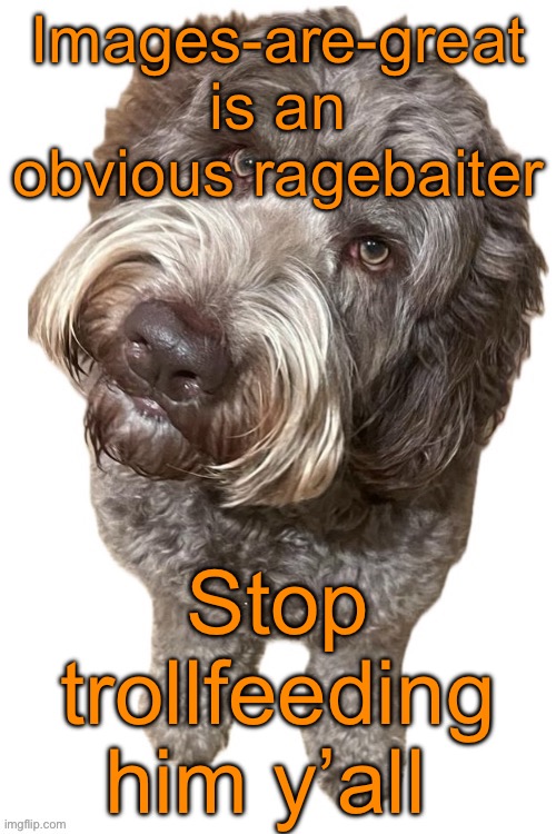 Norther's dog | Images-are-great is an obvious ragebaiter; Stop trollfeeding him y’all | image tagged in norther's dog | made w/ Imgflip meme maker
