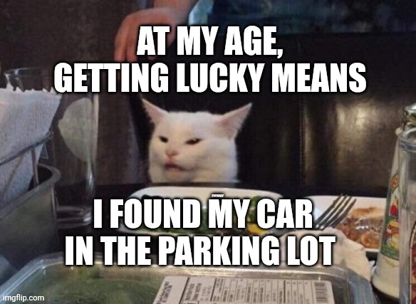 Smudge that darn cat | AT MY AGE, GETTING LUCKY MEANS; I FOUND MY CAR IN THE PARKING LOT | image tagged in smudge that darn cat | made w/ Imgflip meme maker