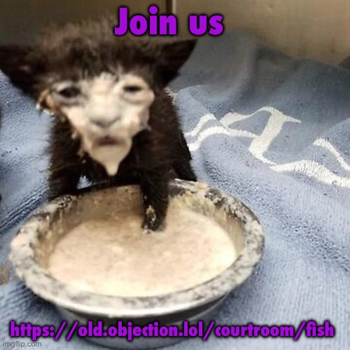 Pie :3 | Join us; https://old.objection.lol/courtroom/fish | image tagged in pie 3 | made w/ Imgflip meme maker