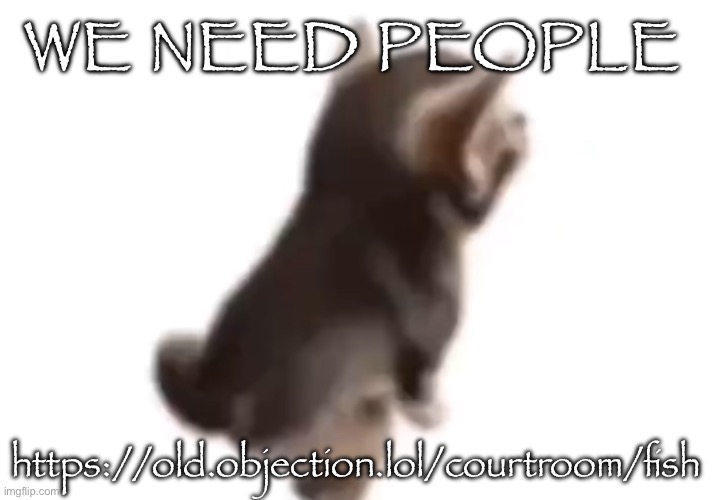 Side el gatito | WE NEED PEOPLE; https://old.objection.lol/courtroom/fish | image tagged in side el gatito | made w/ Imgflip meme maker
