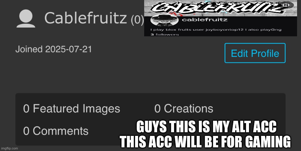 Also follow me on twitch | GUYS THIS IS MY ALT ACC THIS ACC WILL BE FOR GAMING | made w/ Imgflip meme maker