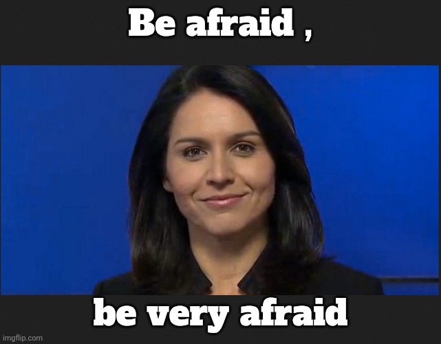 Tulsi Gabbard | Be afraid , be very afraid | image tagged in tulsi gabbard | made w/ Imgflip meme maker