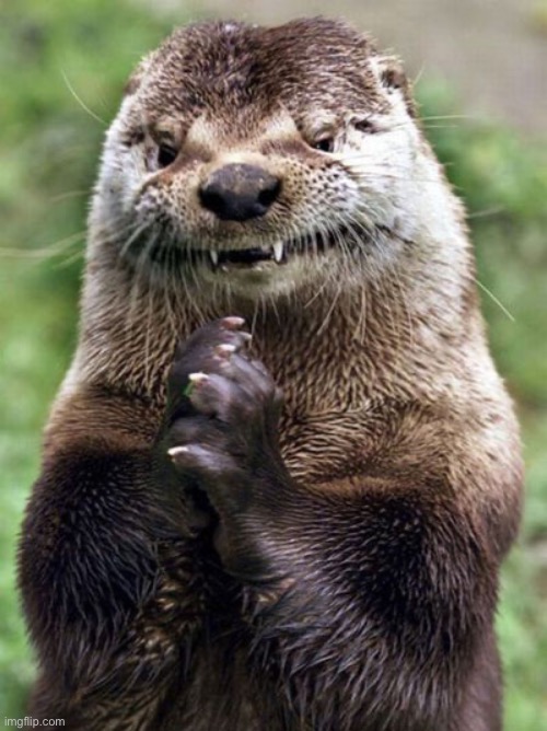 Evil Otter | image tagged in memes,evil otter | made w/ Imgflip meme maker