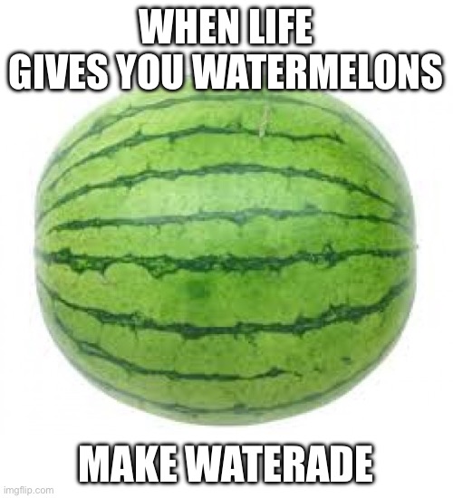 Watermelon | WHEN LIFE GIVES YOU WATERMELONS MAKE WATERADE | image tagged in watermelon | made w/ Imgflip meme maker