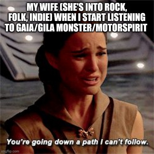 Padme path I can't follow | MY WIFE (SHE'S INTO ROCK, FOLK, INDIE) WHEN I START LISTENING TO GAIA/GILA MONSTER/MOTORSPIRIT | image tagged in padme path i can't follow | made w/ Imgflip meme maker