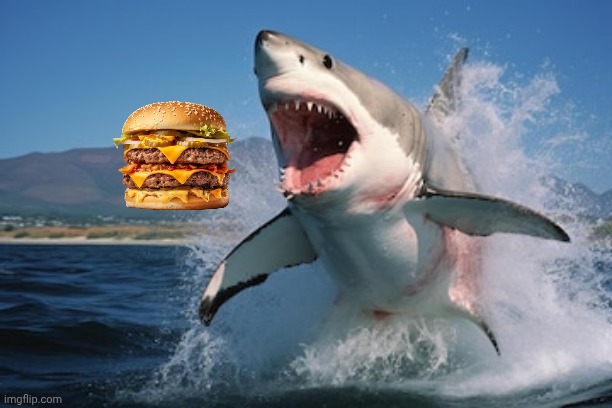 Great White Shark - jumping | image tagged in great white shark - jumping,cheeseburger,feed me | made w/ Imgflip meme maker