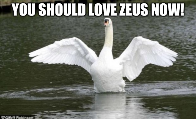 swan | YOU SHOULD LOVE ZEUS NOW! | image tagged in swan | made w/ Imgflip meme maker
