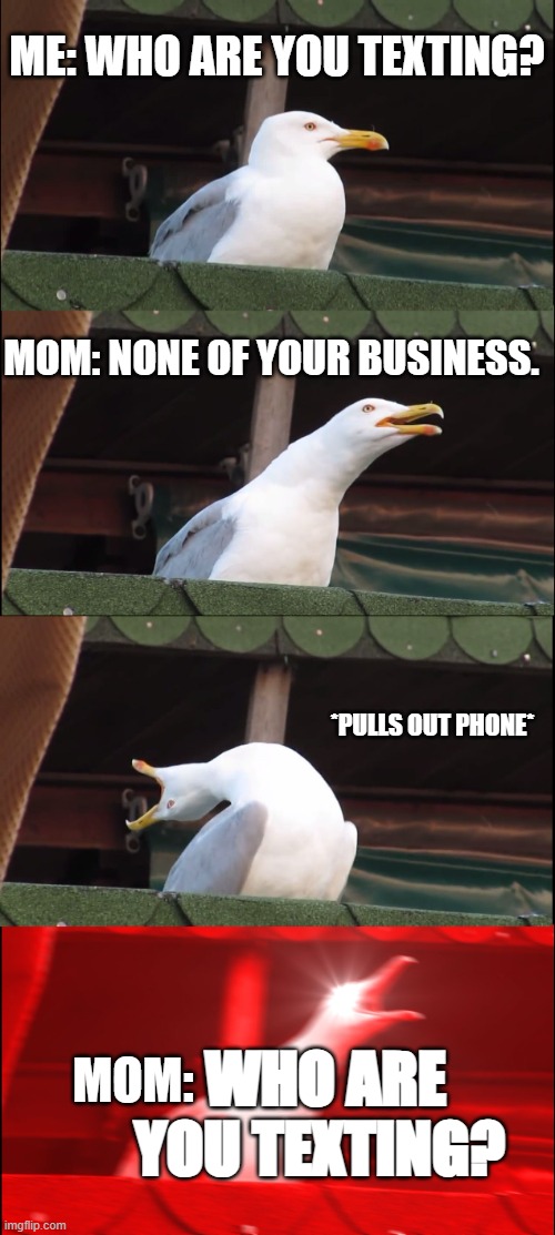 gimme mah privacy bro | ME: WHO ARE YOU TEXTING? MOM: NONE OF YOUR BUSINESS. *PULLS OUT PHONE*; MOM:; WHO ARE YOU TEXTING? | image tagged in memes,inhaling seagull,relatable,relatable memes,funny,funny memes | made w/ Imgflip meme maker