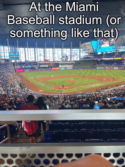 Ignore my knee | At the Miami Baseball stadium (or something like that) | image tagged in msmg | made w/ Imgflip meme maker