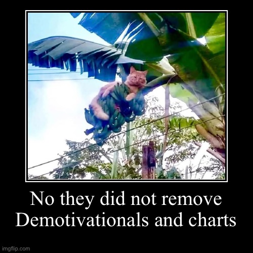 Mfs when the UI changes slightly | No they did not remove Demotivationals and charts | | image tagged in funny,demotivationals | made w/ Imgflip demotivational maker