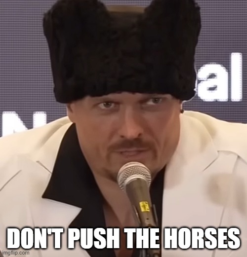 Don't Push The Horses | DON'T PUSH THE HORSES | image tagged in usyk don't push the horses | made w/ Imgflip meme maker