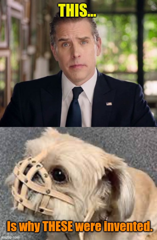 Burnin' down th' house! | THIS... Is why THESE were invented. | image tagged in hunter biden junkie eyes,dog muzzle | made w/ Imgflip meme maker