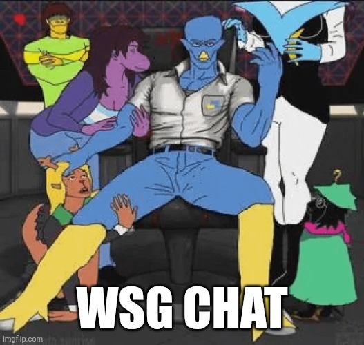 Weakest berdly fan | WSG CHAT | image tagged in weakest berdly fan | made w/ Imgflip meme maker