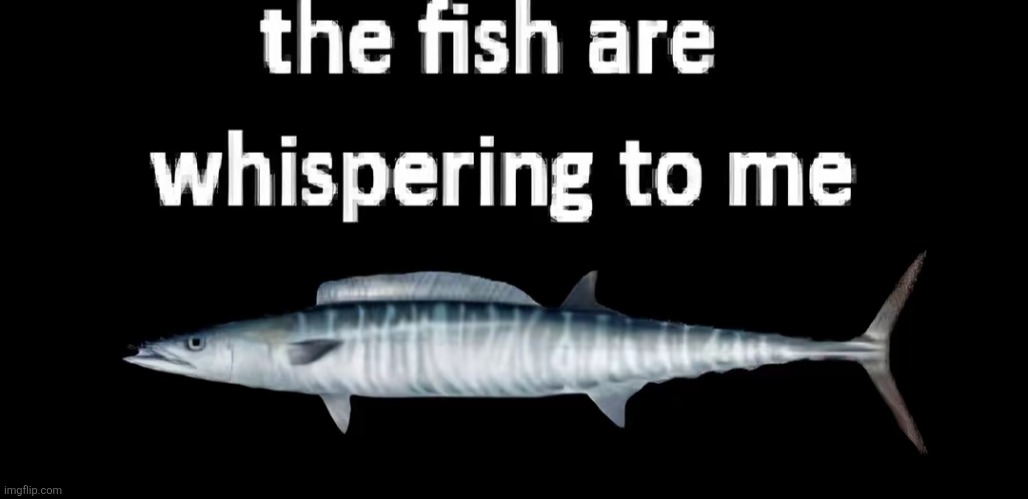 It's telling me things one should not hear | image tagged in fish,help | made w/ Imgflip meme maker
