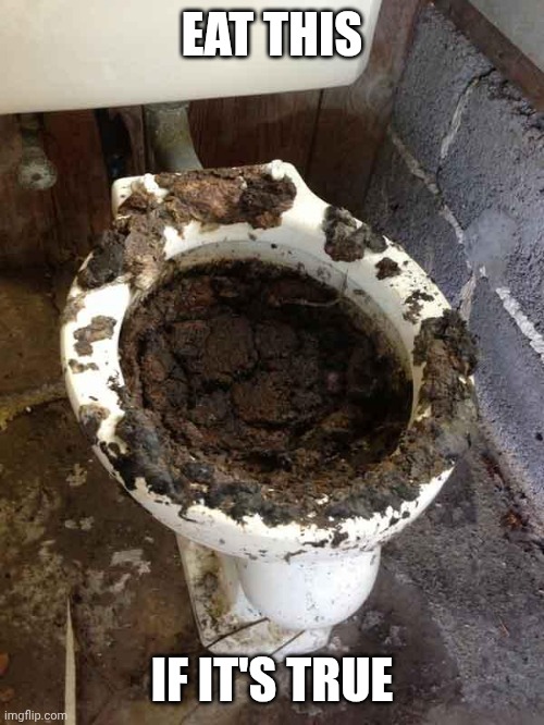 toilet | EAT THIS IF IT'S TRUE | image tagged in toilet | made w/ Imgflip meme maker
