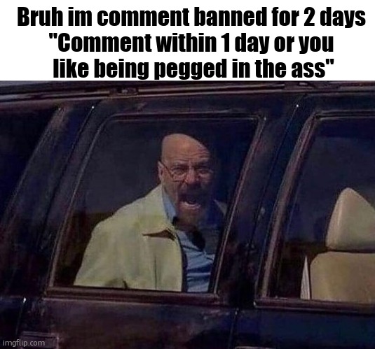 Walter in Car | Bruh im comment banned for 2 days
"Comment within 1 day or you
 like being pegged in the ass" | image tagged in walter in car | made w/ Imgflip meme maker