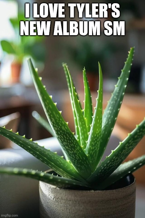 I LOVE TYLER'S NEW ALBUM SM | made w/ Imgflip meme maker