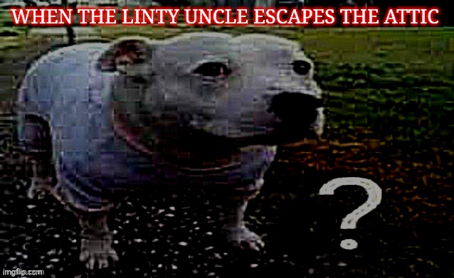 Dog question mark | WHEN THE LINTY UNCLE ESCAPES THE ATTIC | image tagged in dog question mark | made w/ Imgflip meme maker