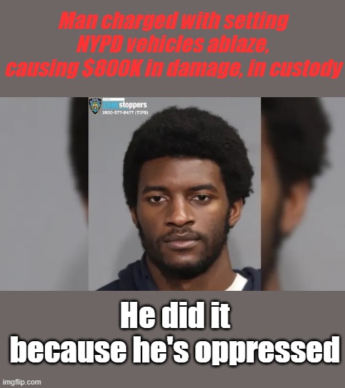 Or he wanted a job. Is this clown a 800k asset to the US citizens? | Man charged with setting NYPD vehicles ablaze, causing $800K in damage, in custody; He did it because he's oppressed | made w/ Imgflip meme maker