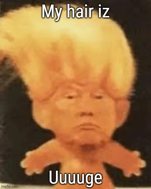 My hair iz; Uuuuge | made w/ Imgflip meme maker